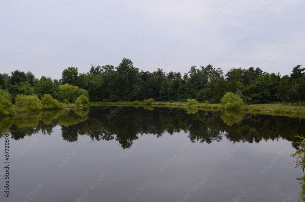 Reflection Reflection