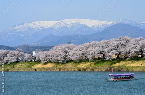 蔵王連峰と桜と白石川