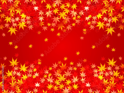 もみじ　紅葉　背景