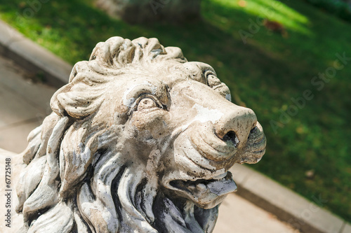 Lion face  in Gulhane Park  Istanbul