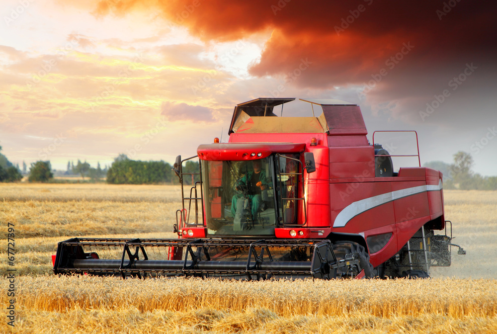 Obraz premium Wheat field with Harvester machine at sunset