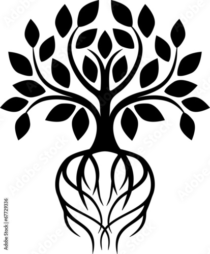 Tree with roots