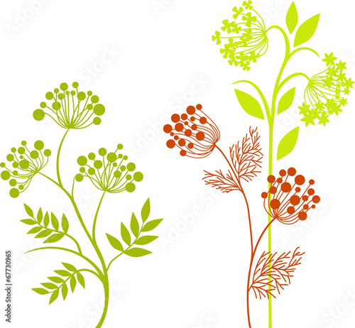 Wild flowers