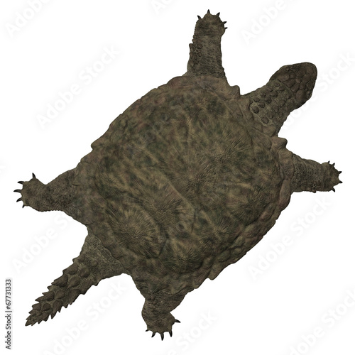 Proganochelys quenstedti