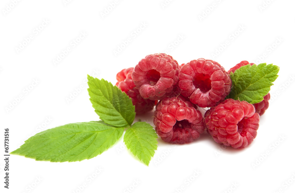Raspberry Raspberry