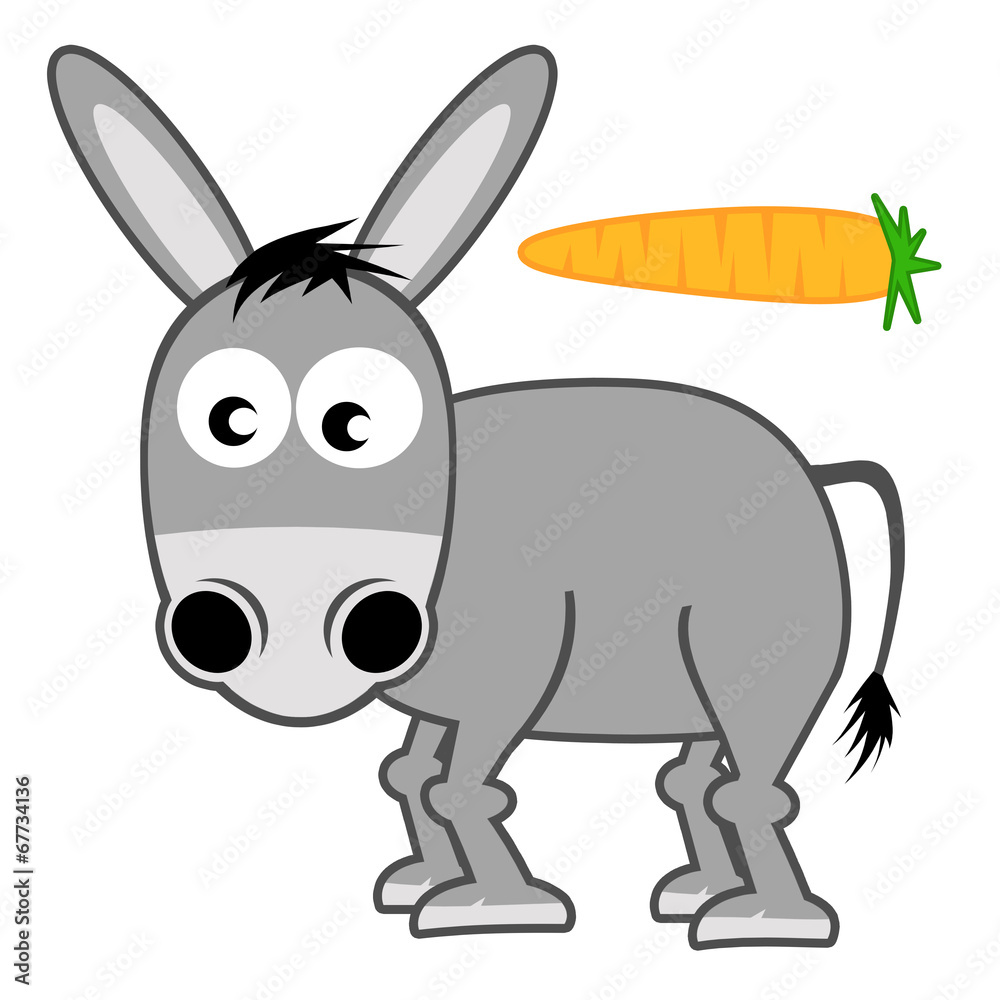 Obraz premium Donkey