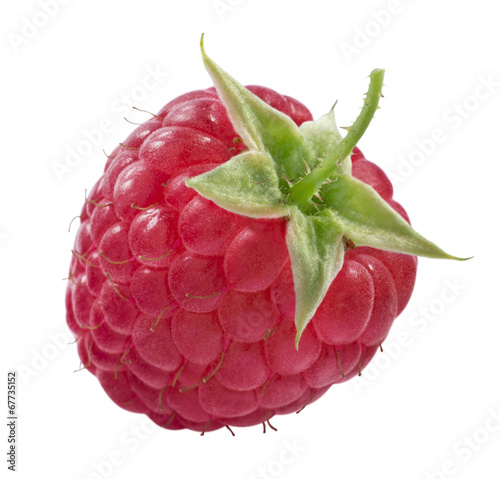 Single isolated fresh raspberry on white background