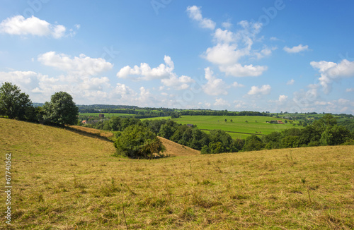 Hilly landscape in summer