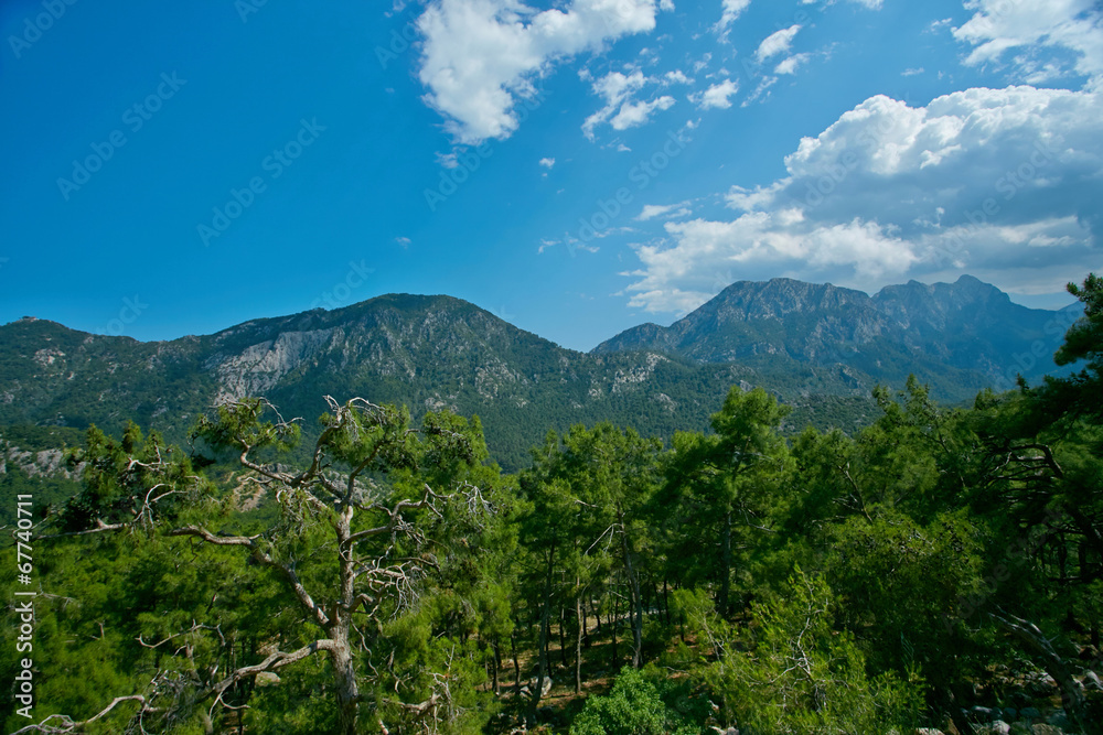 Obraz premium Mountains, blue sky and trees
