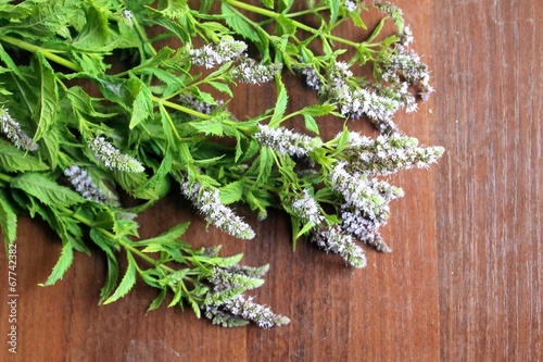 Mint flowers on the table