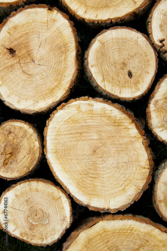Stacked Logs, Natural Background #67744163