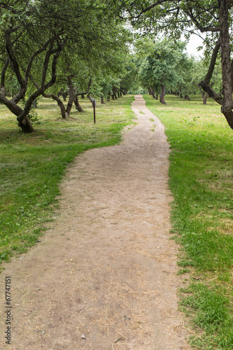 Photo footpath in park