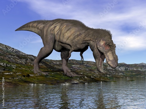 Tyrannosaurus rex dinosaur - 3D render © Elenarts