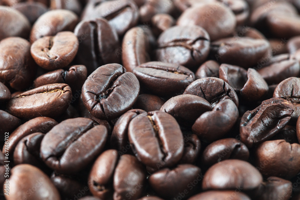 Roasted coffee seed for fresh coffee Roasted coffee seed for fresh coffee