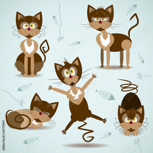 Vector illustration with set of braun cats