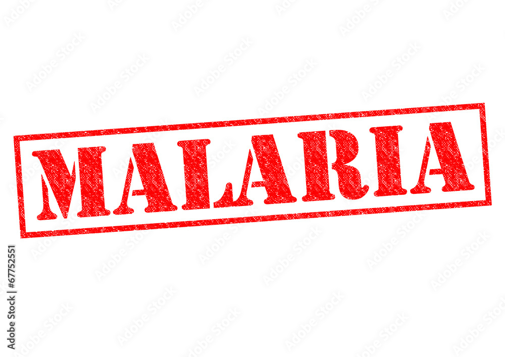 MALARIA MALARIA