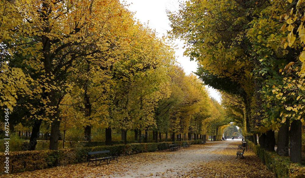 Autumn in Vienna