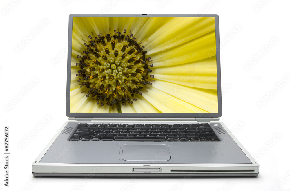 Laptop Concept Spring