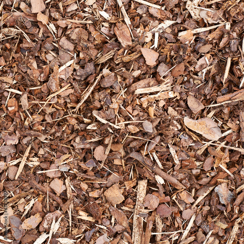 Wooden mulch ground fragment