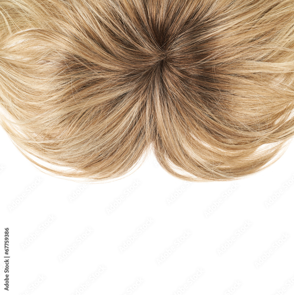 Fototapeta premium Hair fragment over the white
