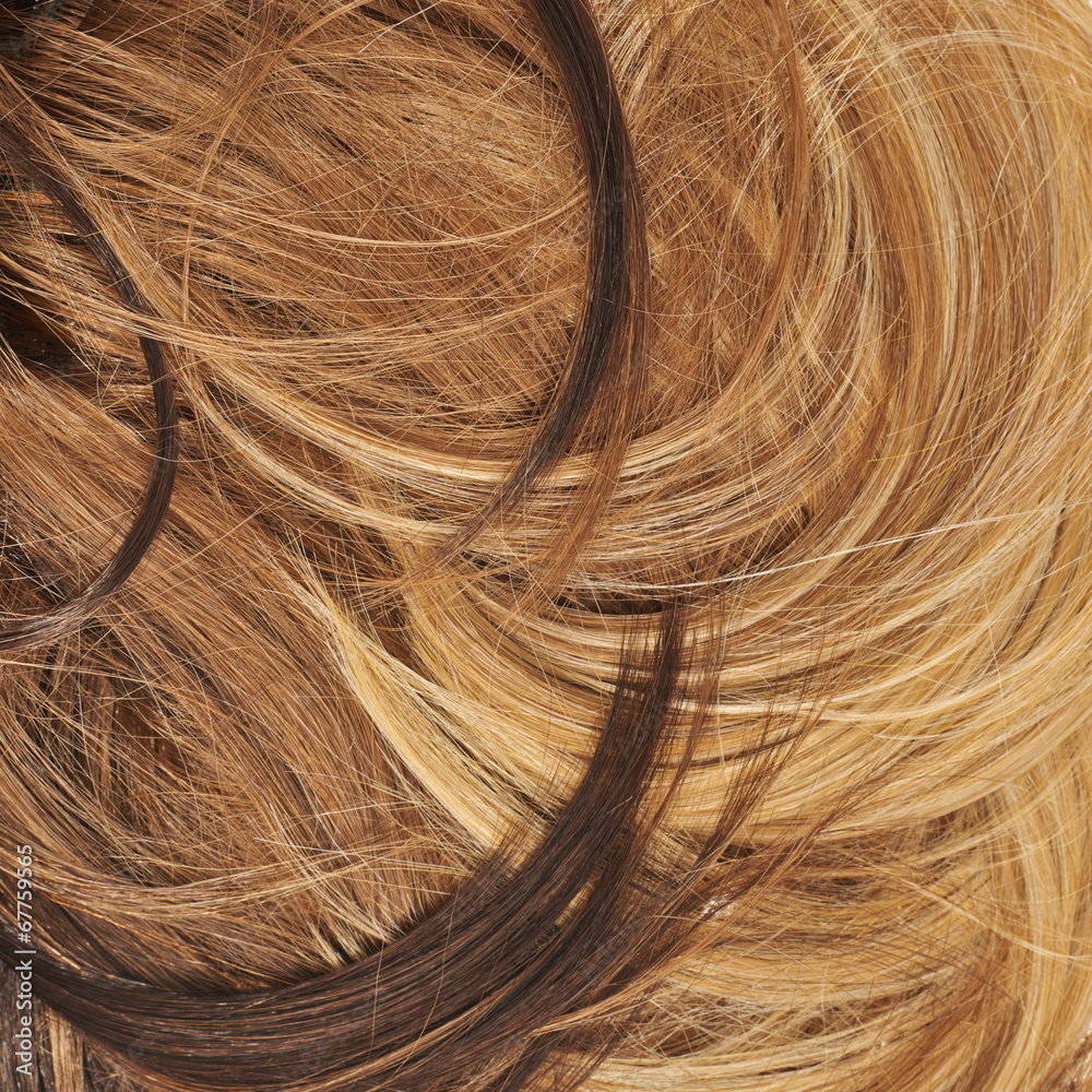 Hair fragment as a background composition Hair fragment as a background composition