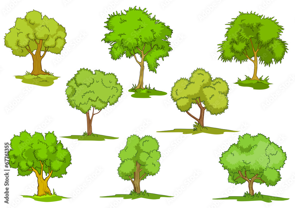 Fototapeta premium Set of leafy green trees