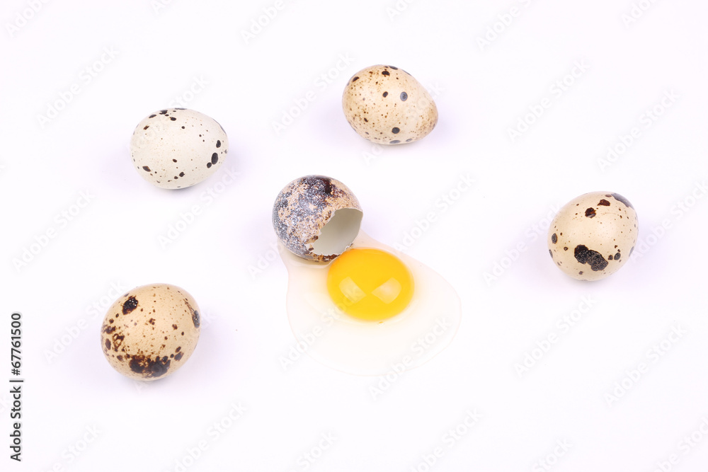 Bıldırcın Yumurtaları Bıldırcın Yumurtaları
