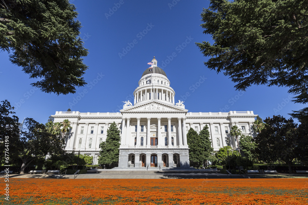 Obraz premium California Capitol Building with Poppies