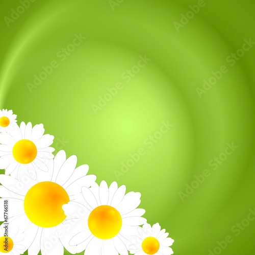 Green summer nature background