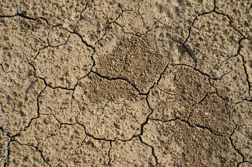 Dry ground texture 2