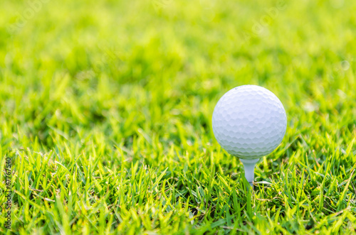 Golf ball on green grass