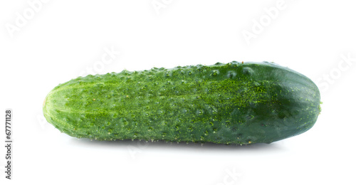 Single green and prickly cucumber