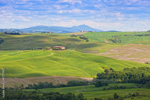 Classical rural landscape in Tuscany early in morning in summer