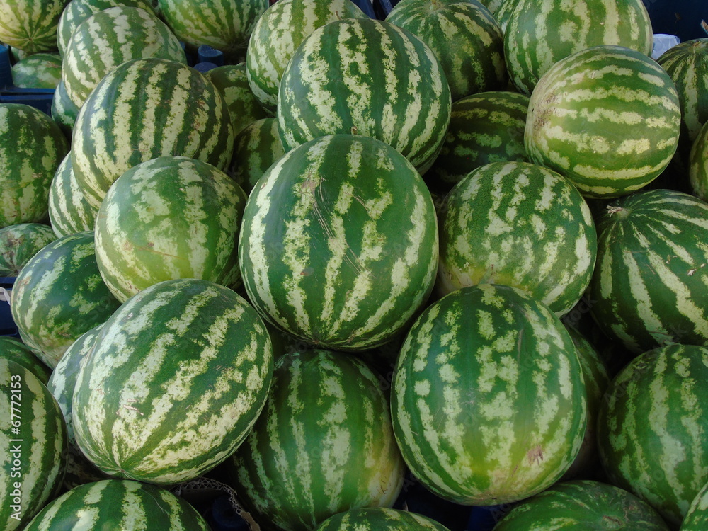 karpuzlar karpuzlar