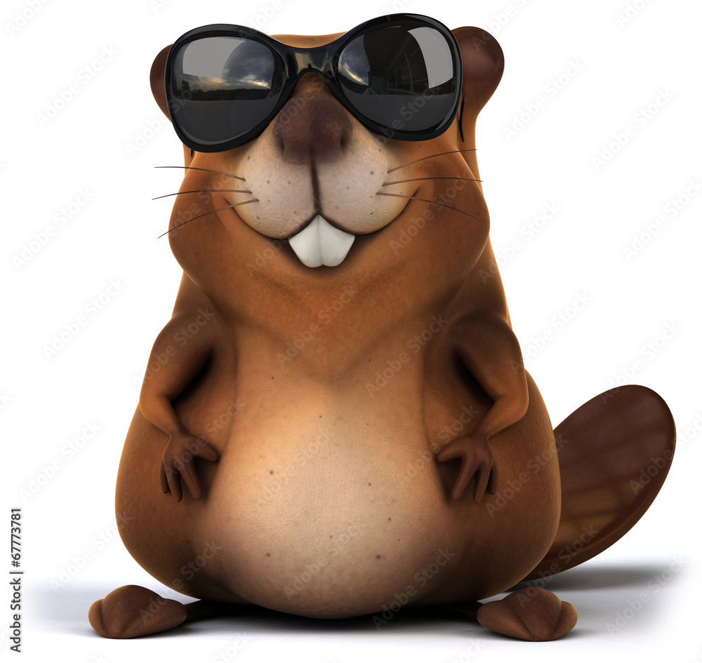 Fototapeta premium Beaver