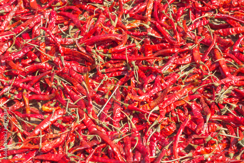 Red chilli pods drying in the sun.