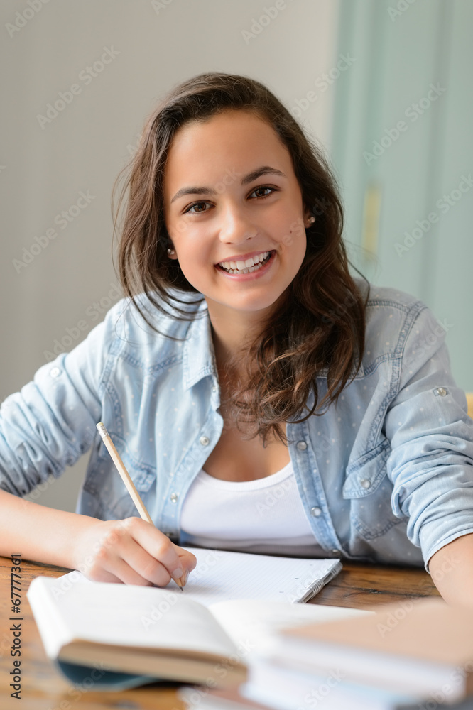 Teenage student girl studying at home smiling Teenage student girl studying at home smiling