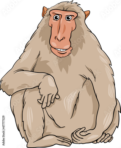 macaquee animal cartoon illustration