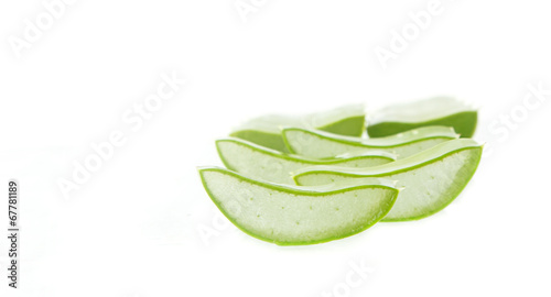 Wallpaper Mural Aloe vera plant on white Torontodigital.ca