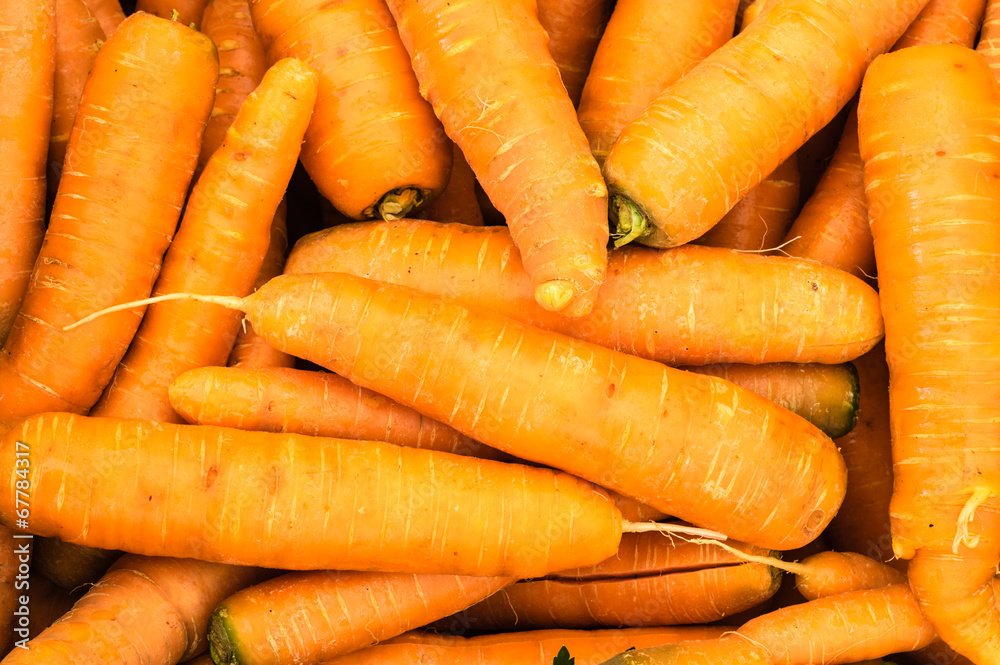 Harvested orange carrots on display Harvested orange carrots on display