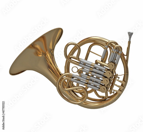 French horn instrument isolated