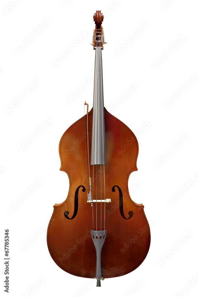 Fototapeta premium Bass instrument isolated