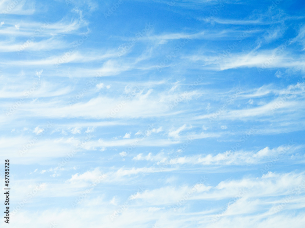 Fototapeta premium ほうき雲