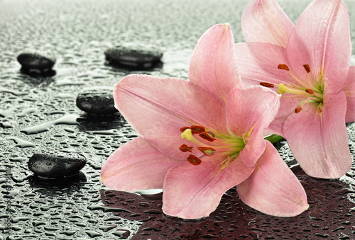 Lilie z kamieniami bazaltowymi © CUKMEN