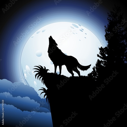 Wolf Howling at Blue Moon photo