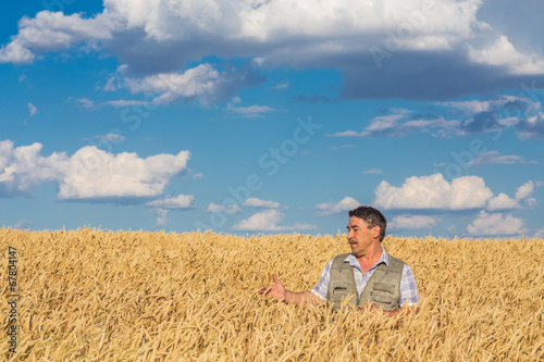 farmer standing in a wheat field