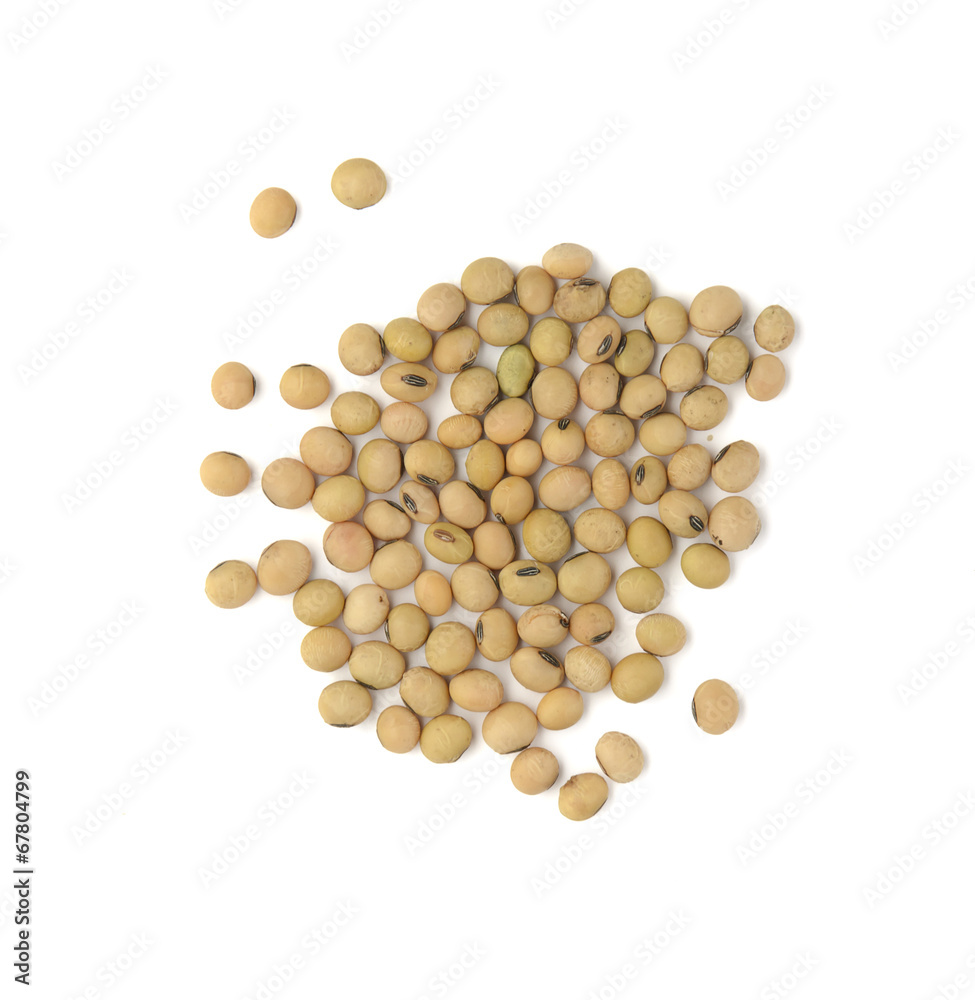 Soybeans isolated on white background Soybeans isolated on white background