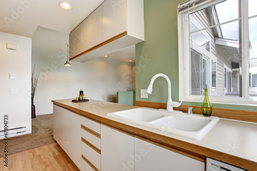 Simple mint kitchen interior in empty house