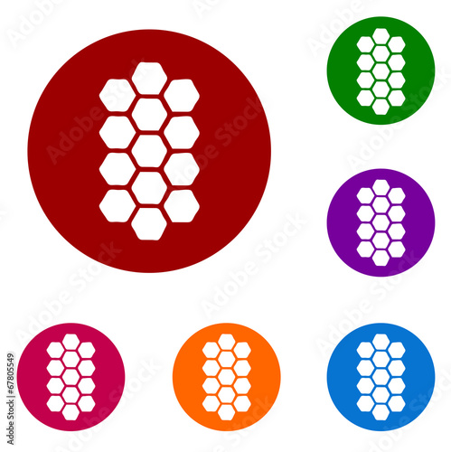 web button / circle frame / speech bubble