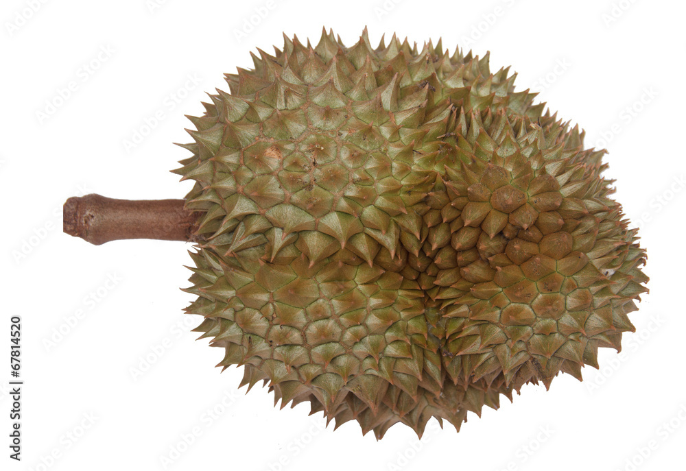 Durian isolated Durian isolated